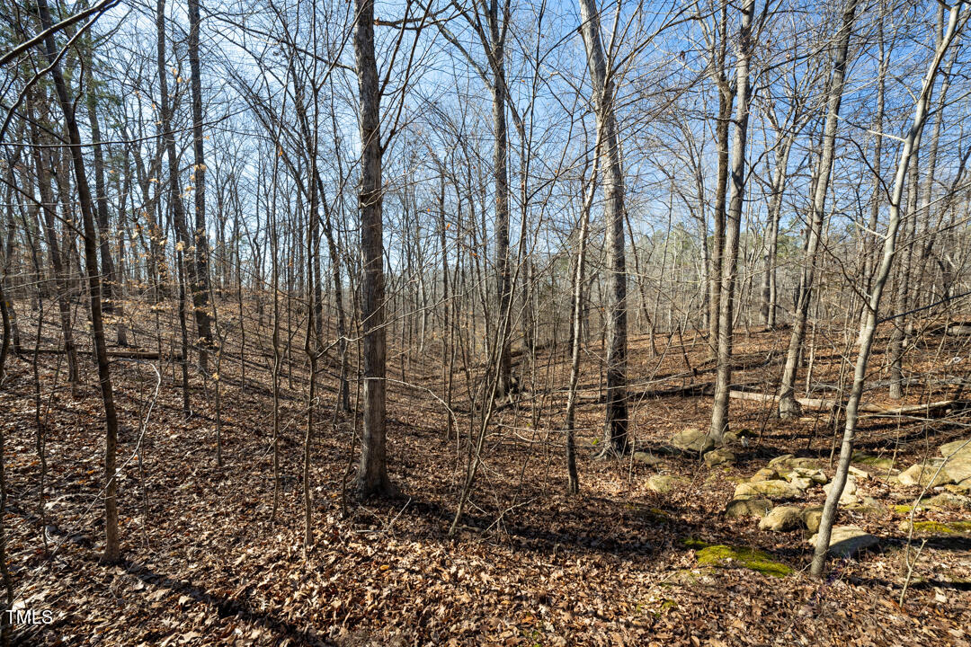 34 Summer Oak Drive Roxboro, NC 27574 - Photo 8 of 10 a view of a pathway with a yard