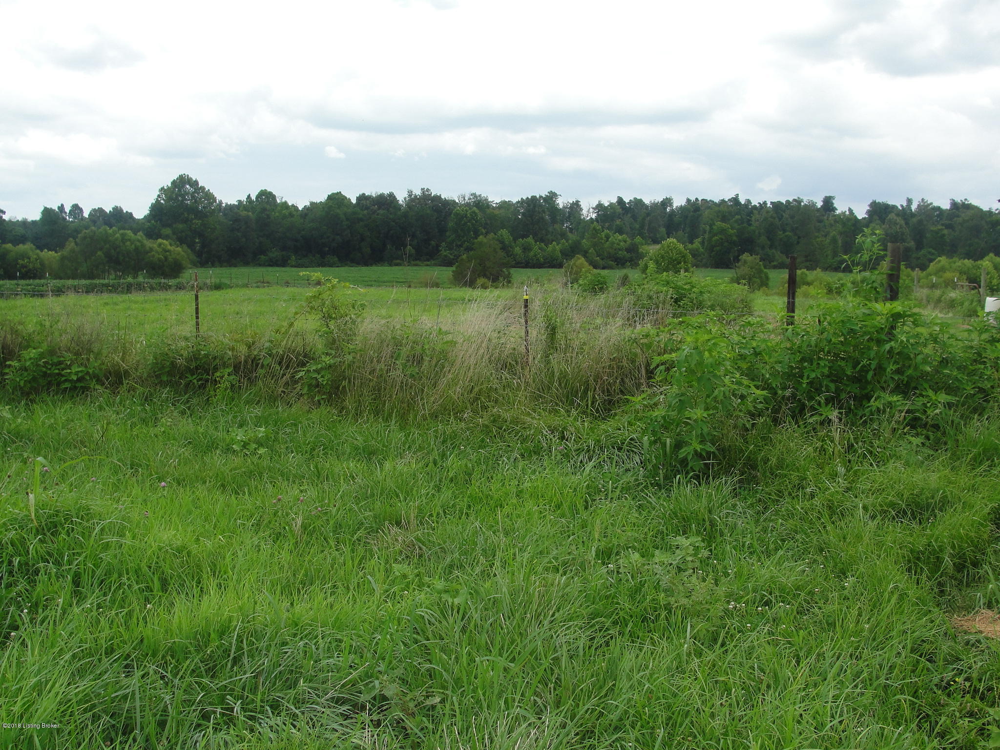 0 Blanche Road Caneyville, KY 42721 - Photo 15 of 17 014