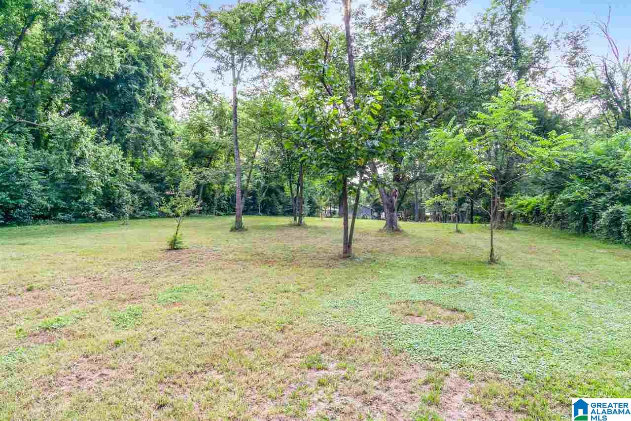 433 Shades Crest Road Birmingham, AL 35226 - Photo 2 of 50