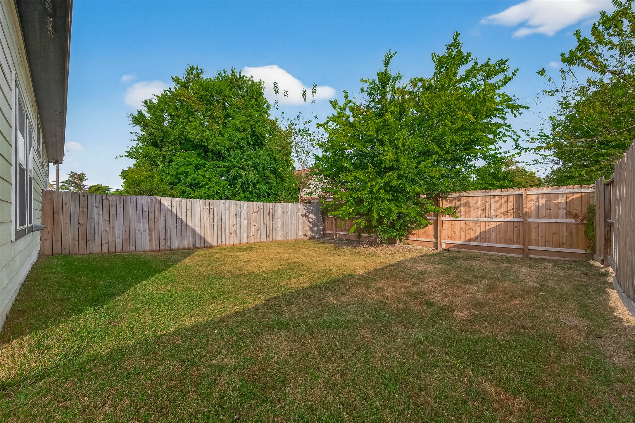 8005 Sexton Street, Unit B Houston, TX 77028 - Photo 38 of 43 a view of backyard and tree