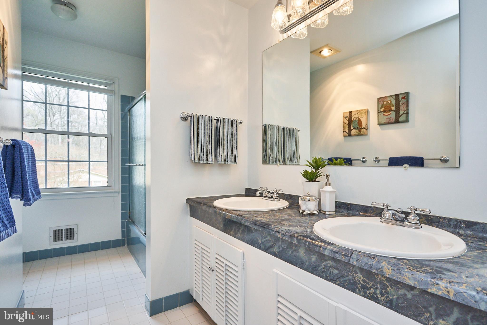 9523 Stevebrook Road Fairfax, VA 22032 - Photo 21 of 40 Hall Bath with Double Vanity