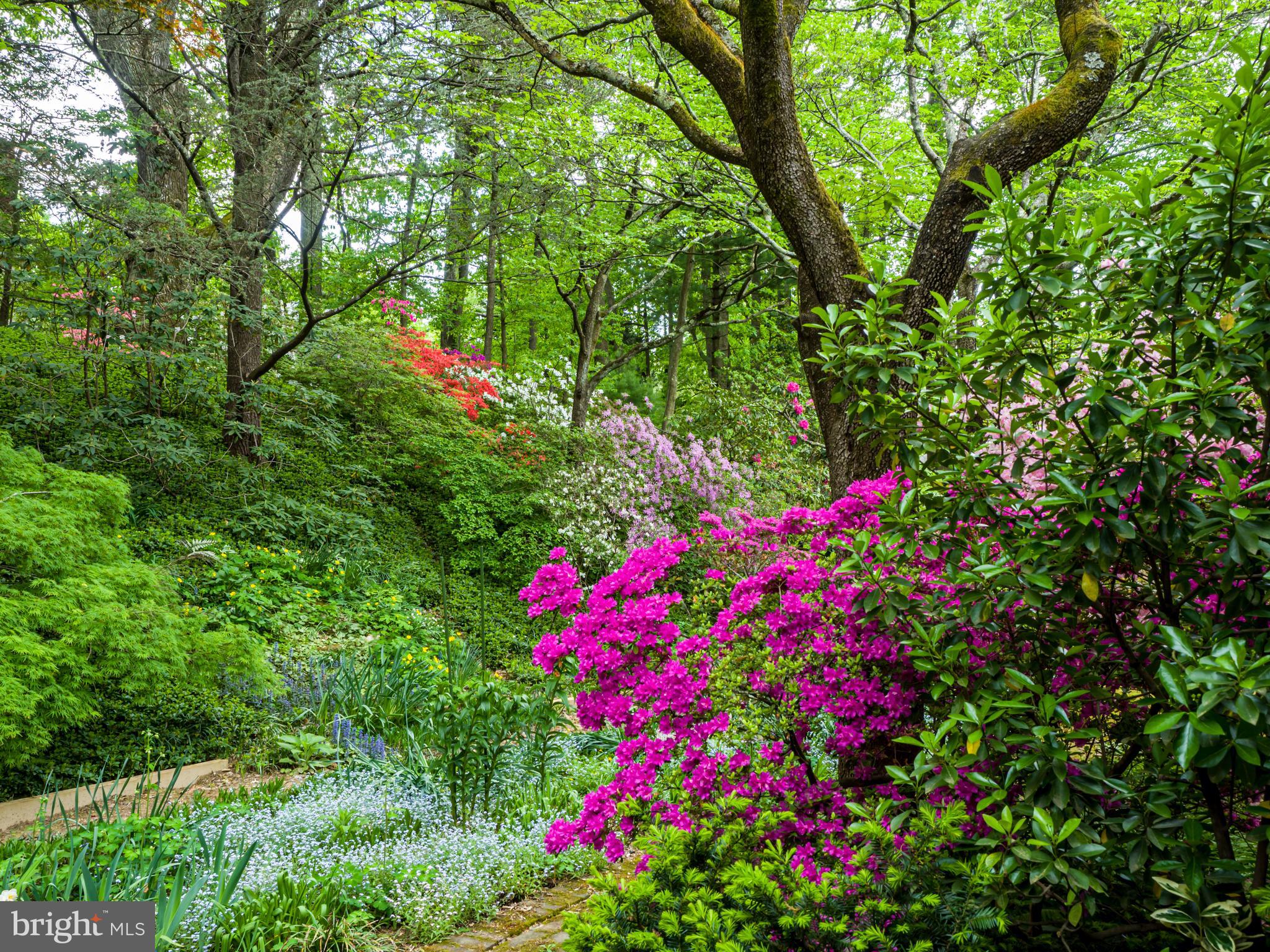 9523 Stevebrook Road Fairfax, VA 22032 - Photo 37 of 40 Wonderful Colorful Gardens