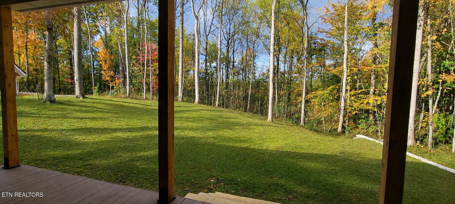 236 Meadowood Road Newport, TN 37821 - Photo 4 of 42 REAR PRIVATE BACKYARD