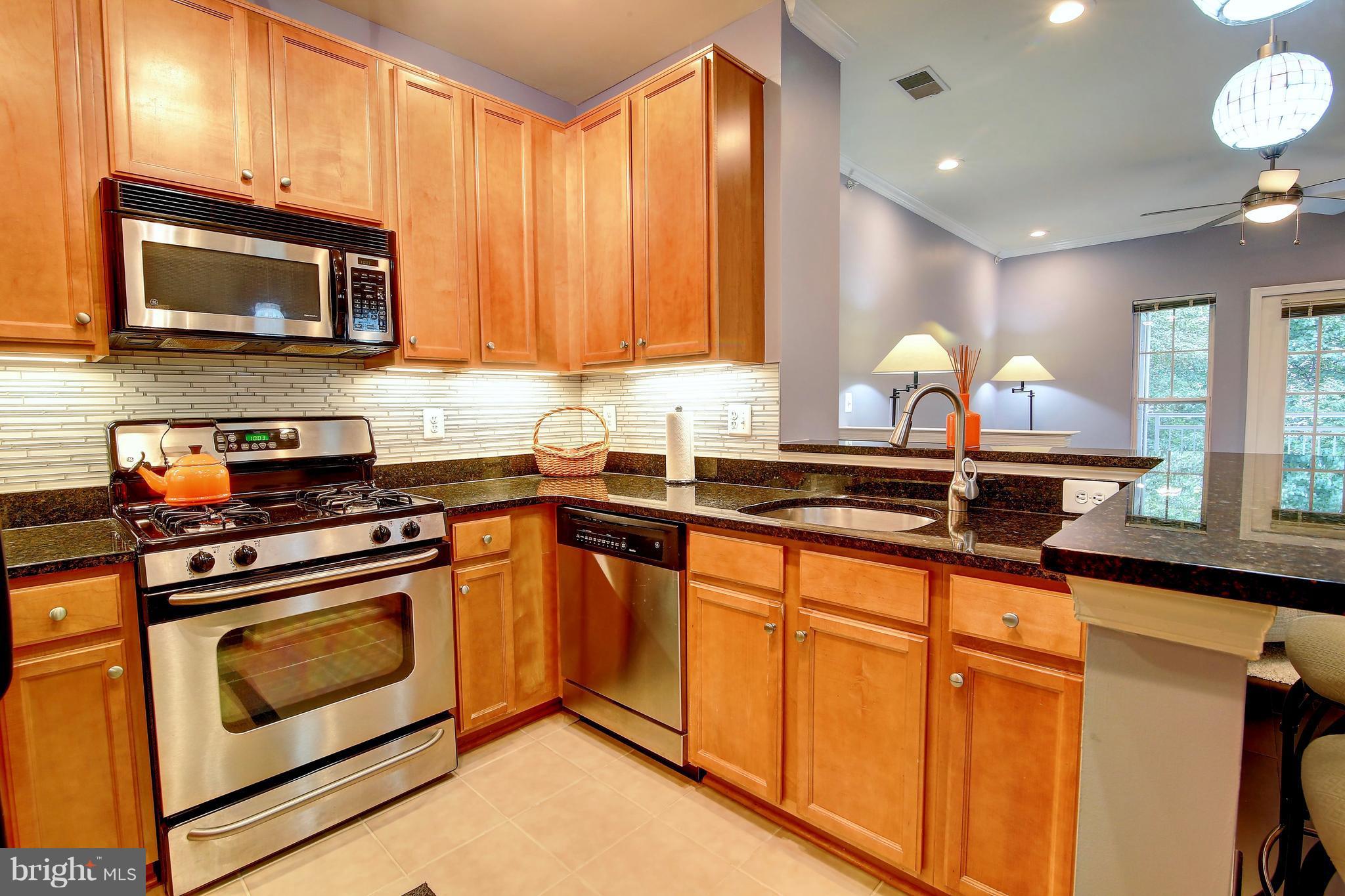 1509 North Point Drive, Unit 303 Reston, VA 20194 - Photo 2 of 20 Kitchen