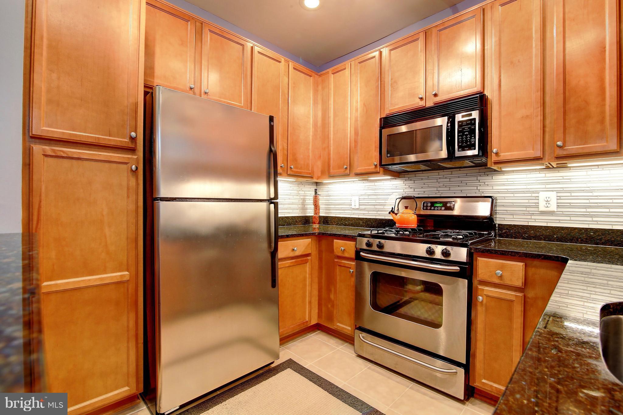 1509 North Point Drive, Unit 303 Reston, VA 20194 - Photo 4 of 20 Kitchen