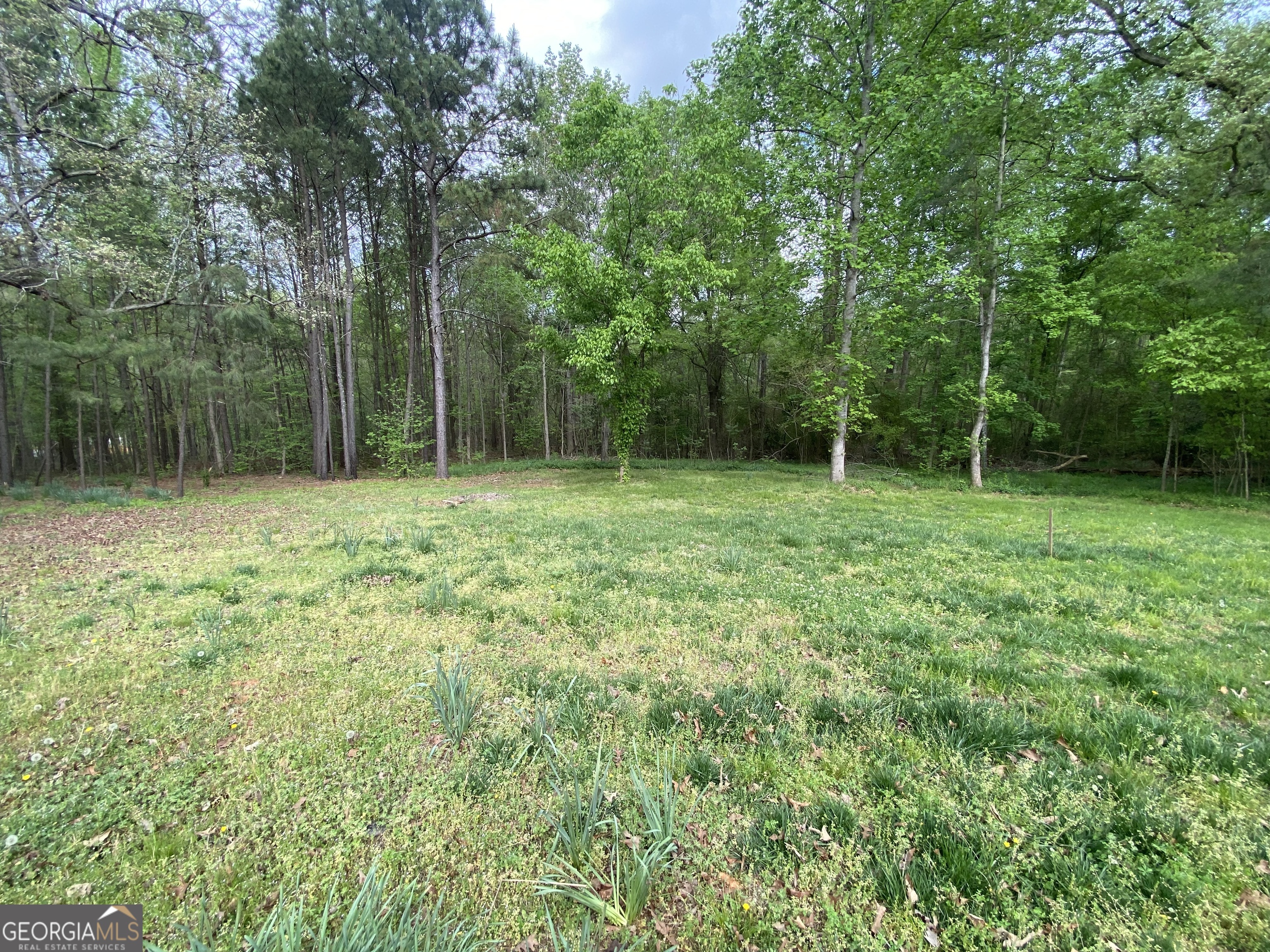 164 Glenn Carrie Road Hull, GA 30646 - Photo 40 of 43 a view of outdoor space with a garden