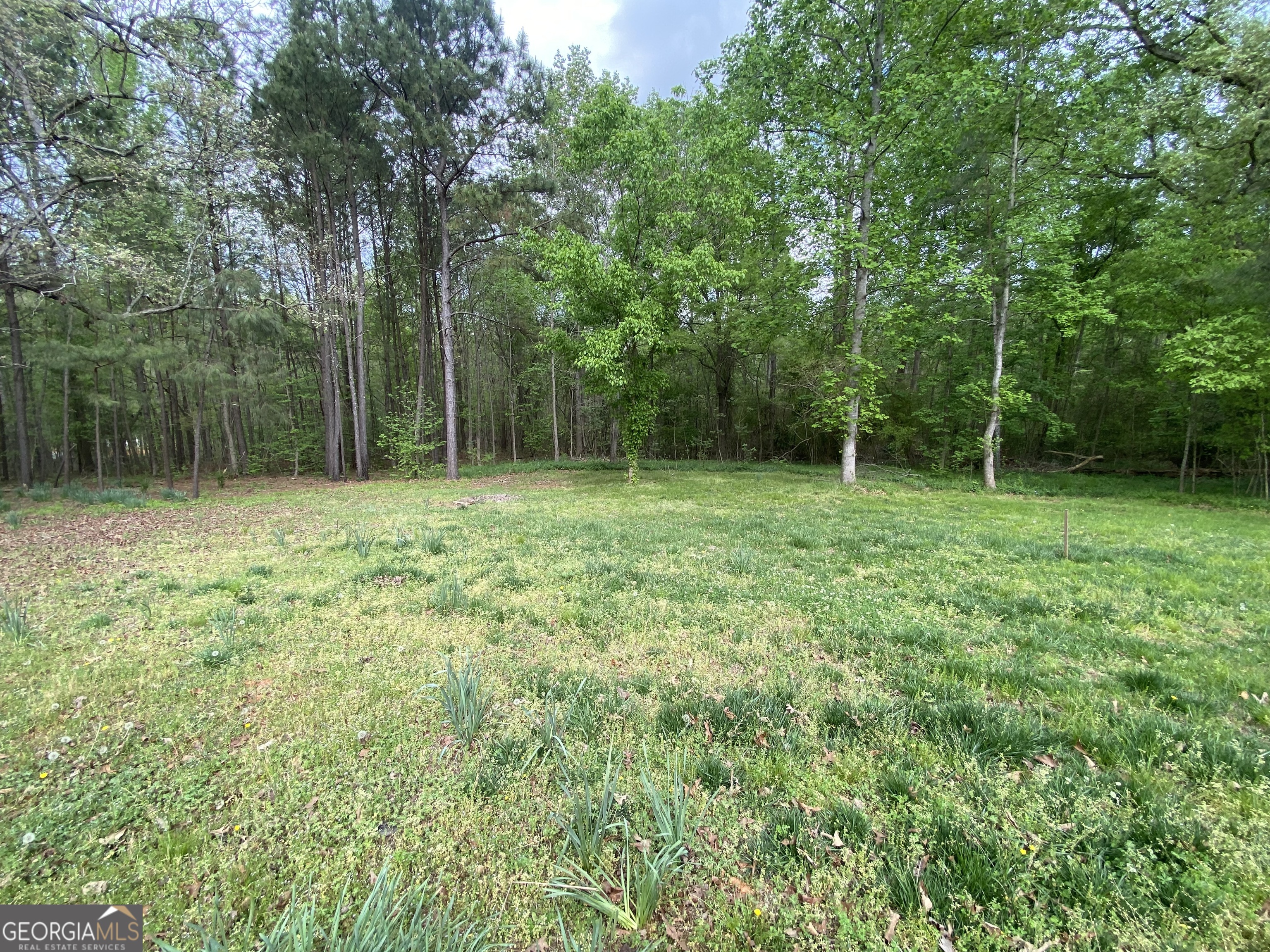 164 Glenn Carrie Road Hull, GA 30646 - Photo 41 of 43 a view of outdoor space with a garden