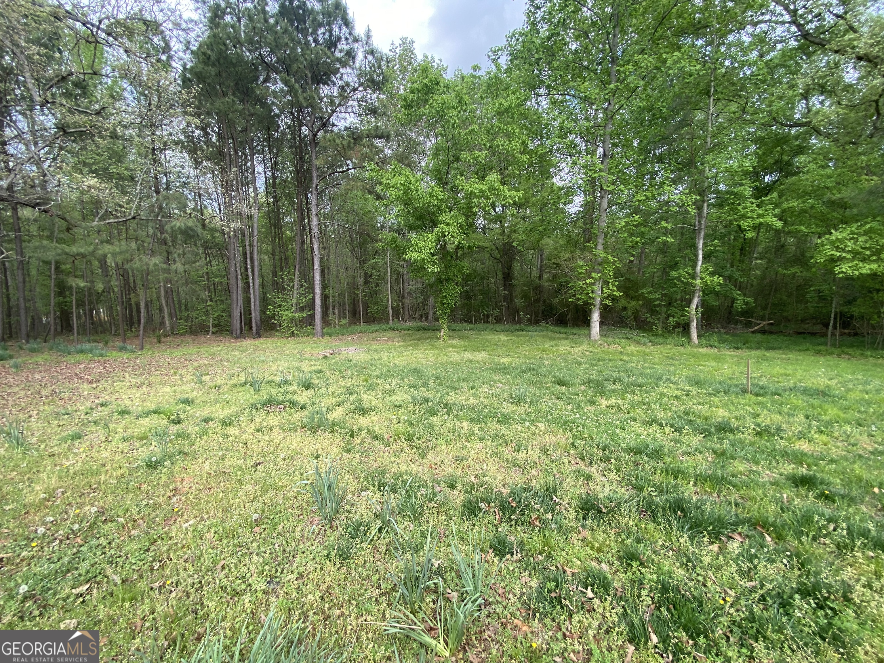 164 Glenn Carrie Road Hull, GA 30646 - Photo 42 of 43 a view of outdoor space with a garden