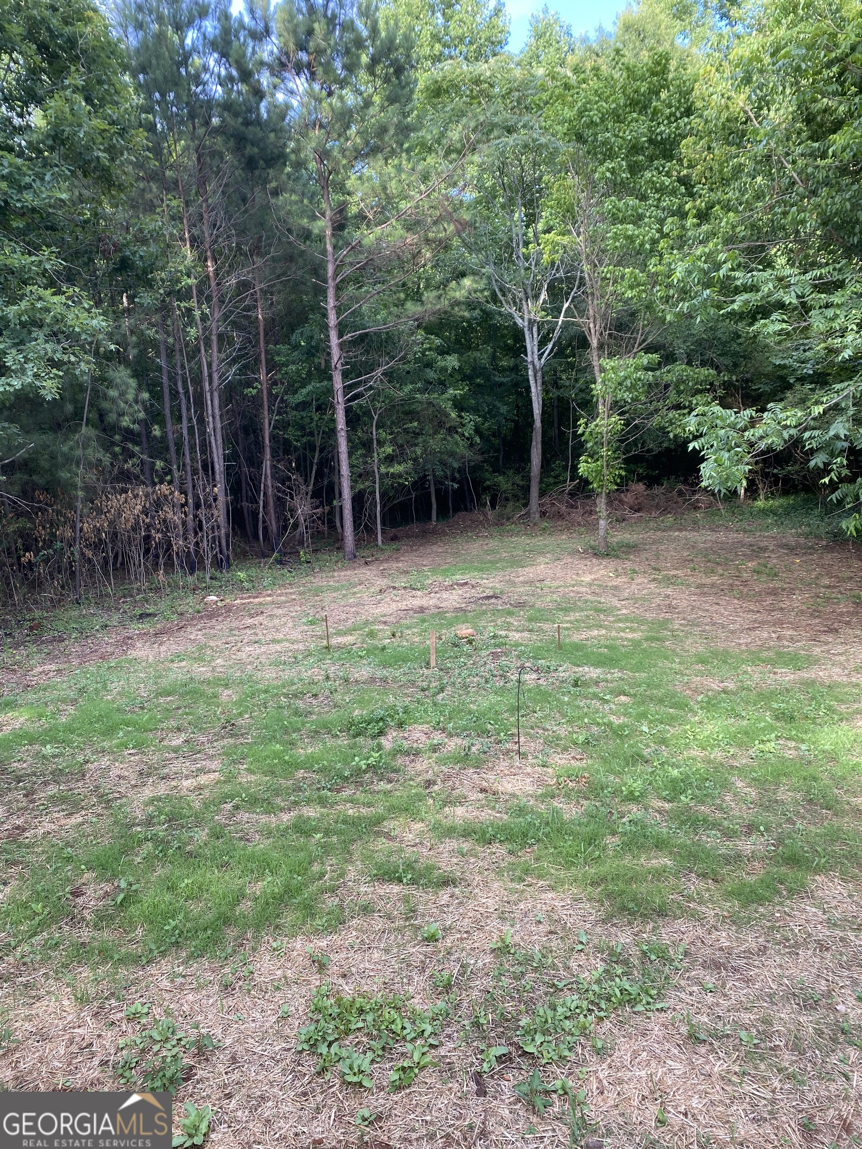 164 Glenn Carrie Road Hull, GA 30646 - Photo 8 of 43 a backyard of a house with lots of green space