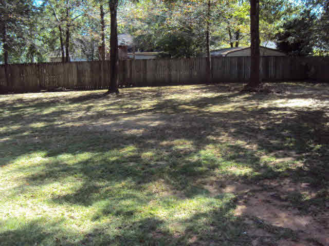 605 West 9th Street Bay Minette, AL 36507 - Photo 9 of 16 Rear Yard