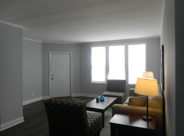 2528 North Ridgeway Avenue Chicago, IL 60647 - Photo 5 of 15