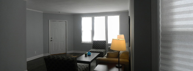 2528 North Ridgeway Avenue Chicago, IL 60647 - Photo 9 of 15