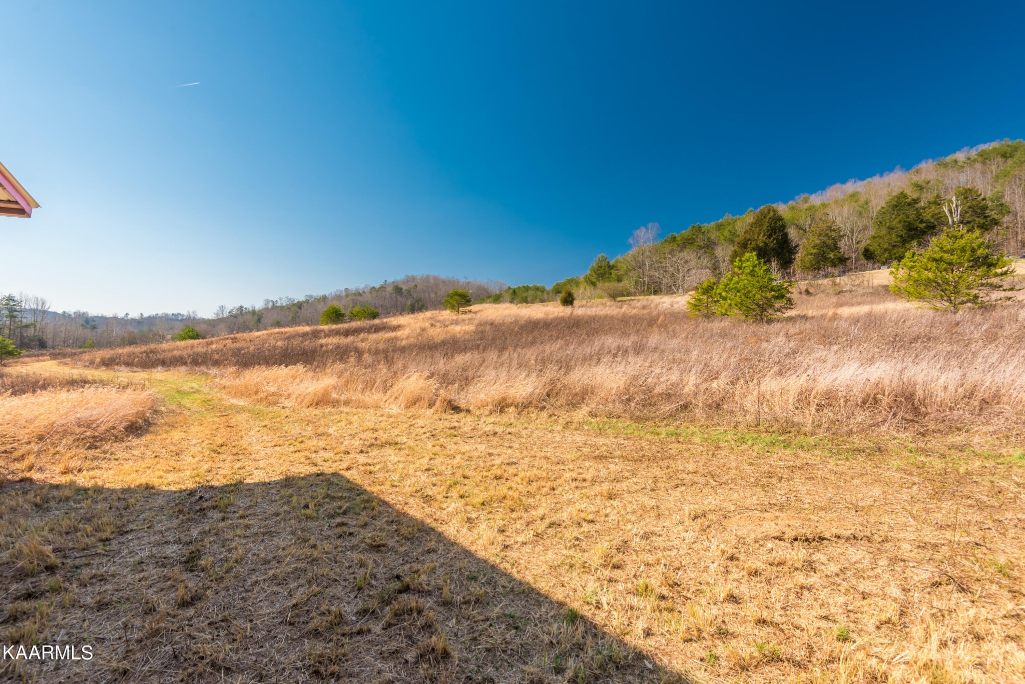 107 Kelsay Road Ten Mile, TN 37880 - Photo 11 of 27 a view of ocean view