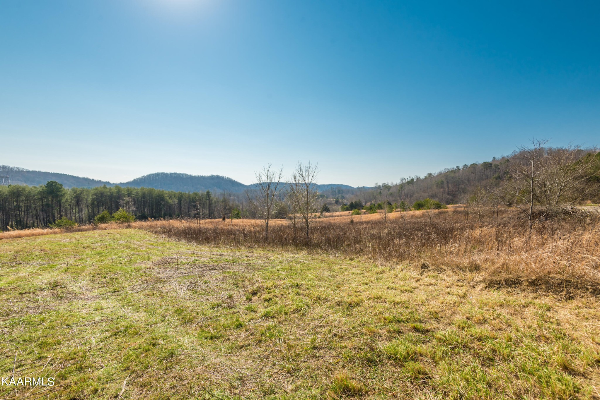 107 Kelsay Road Ten Mile, TN 37880 - Photo 3 of 27 a view of lake with mountain