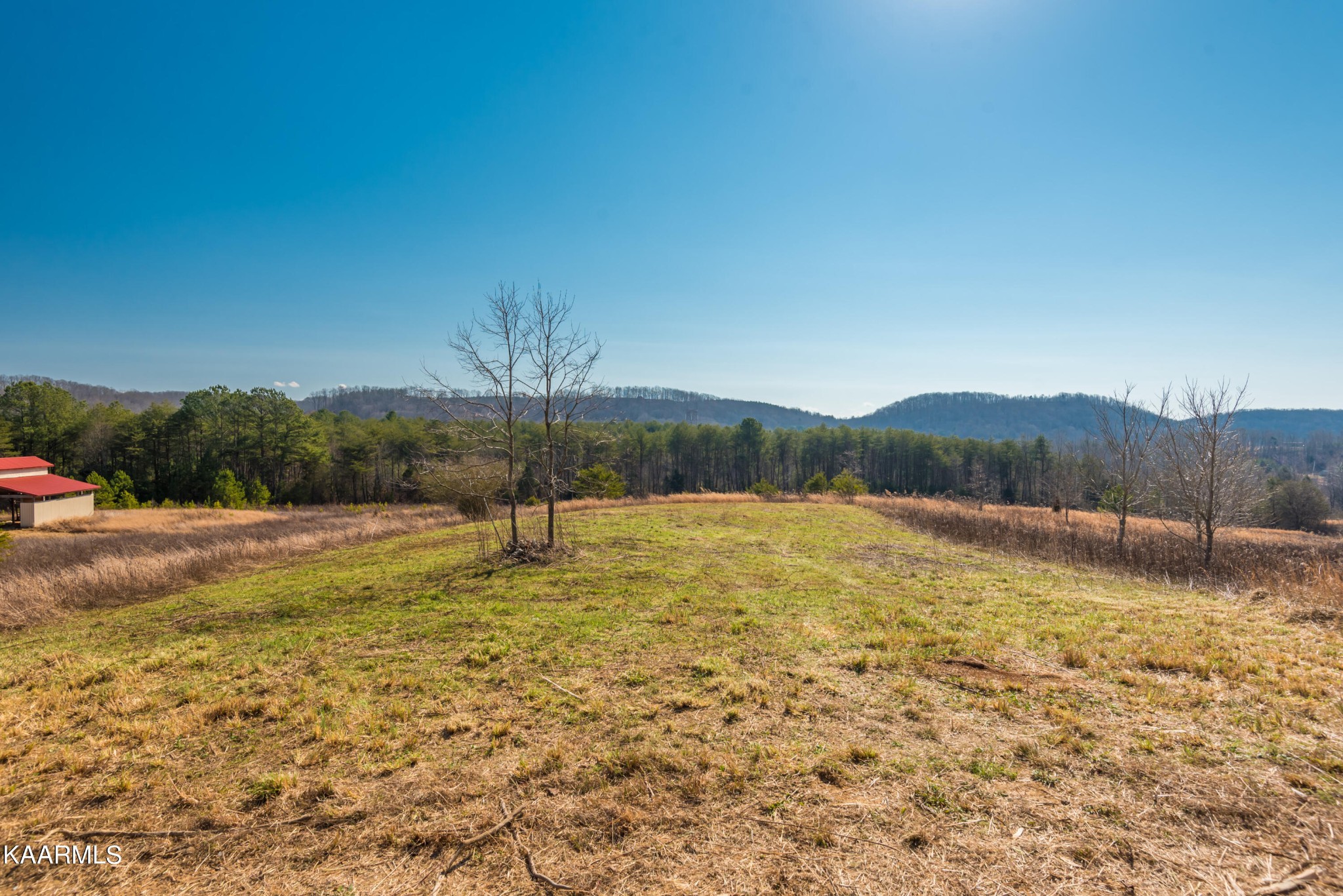 107 Kelsay Road Ten Mile, TN 37880 - Photo 4 of 27 a swimming pool with trees in the background