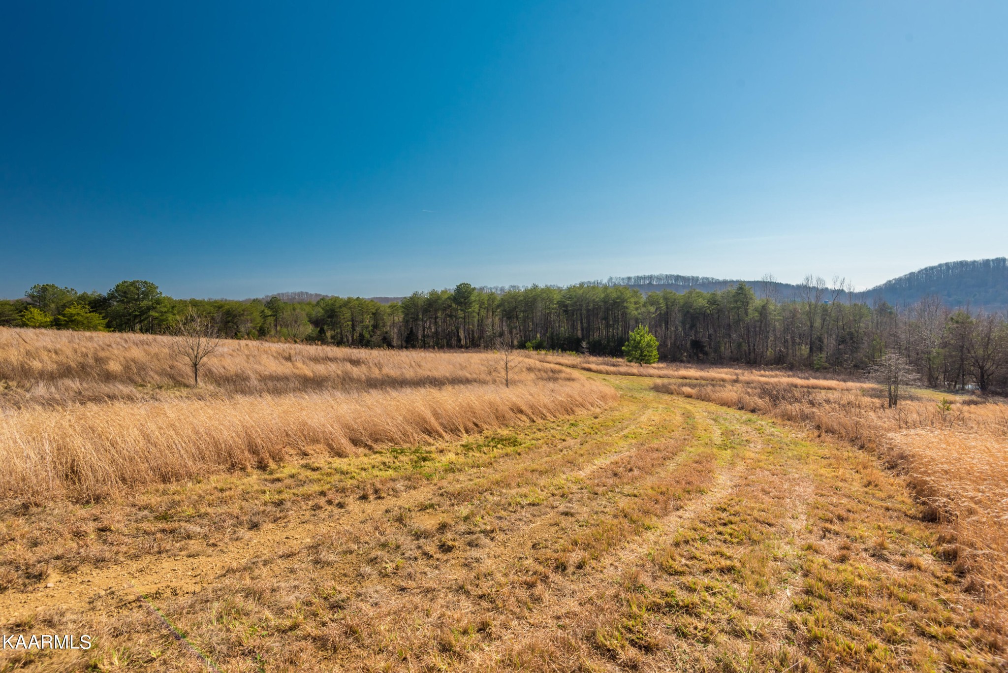 107 Kelsay Road Ten Mile, TN 37880 - Photo 8 of 27 a view of a lake view