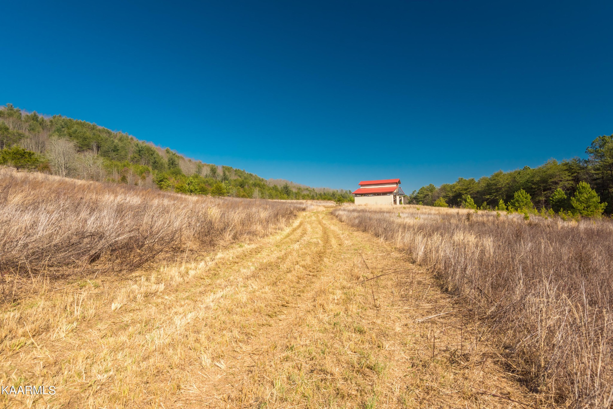 107 Kelsay Road Ten Mile, TN 37880 - Photo 9 of 27 a view of ocean