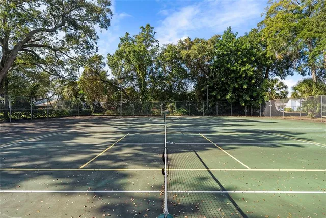 a view of a basket ball ground