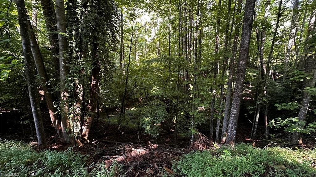 C Higgins Road Wilkesboro, NC 28697 - Photo 11 of 13 Gallery Image 11