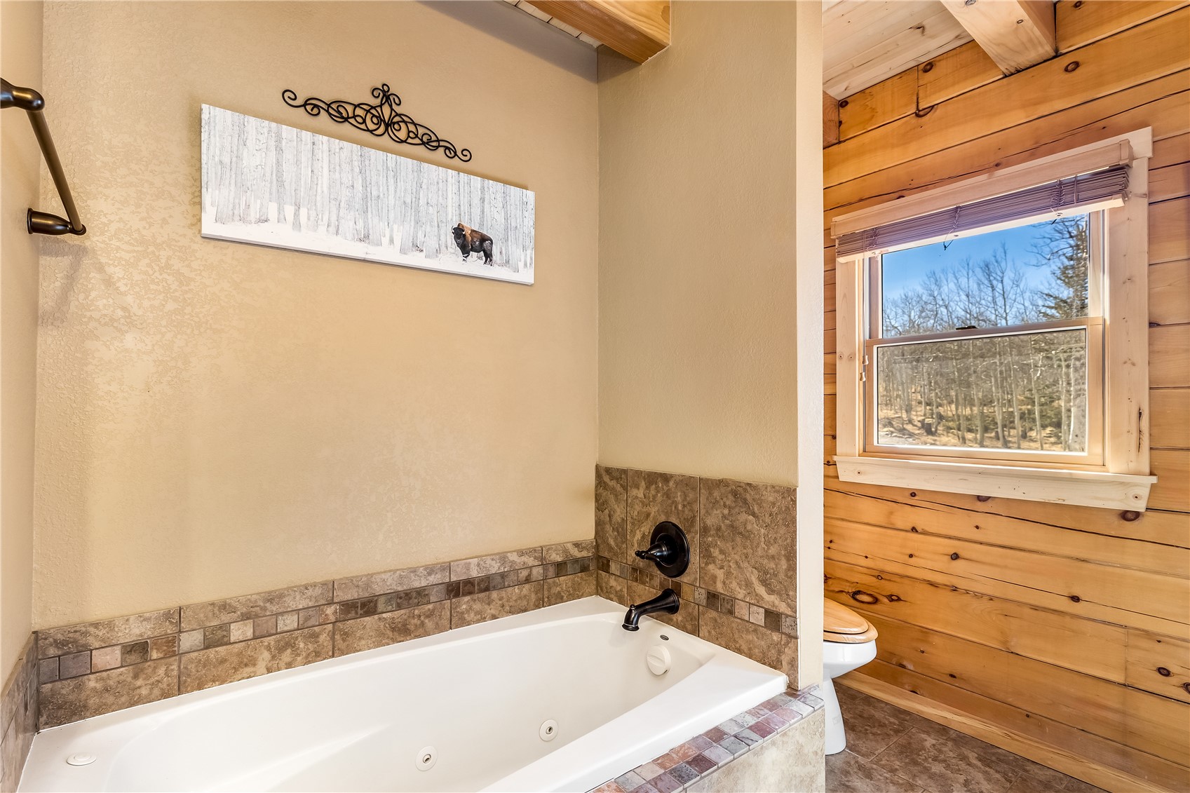 1059 Sheep Ridge Road Fairplay, CO 80440 - Photo 22 of 50