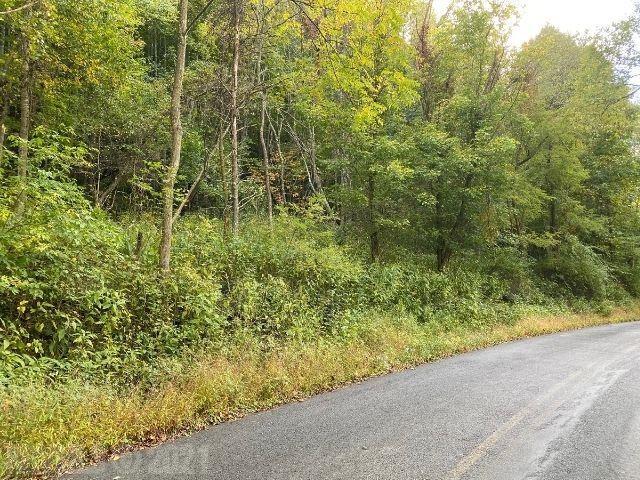 Tbd Pine Run Road Draper, VA 24324 - Photo 11 of 19 Gallery Image 11