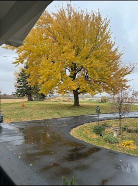 2728 West Brooklyn Road Compton, IL 61318 - Photo 39 of 41