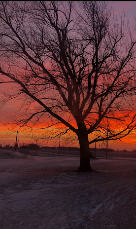 2728 West Brooklyn Road Compton, IL 61318 - Photo 41 of 41