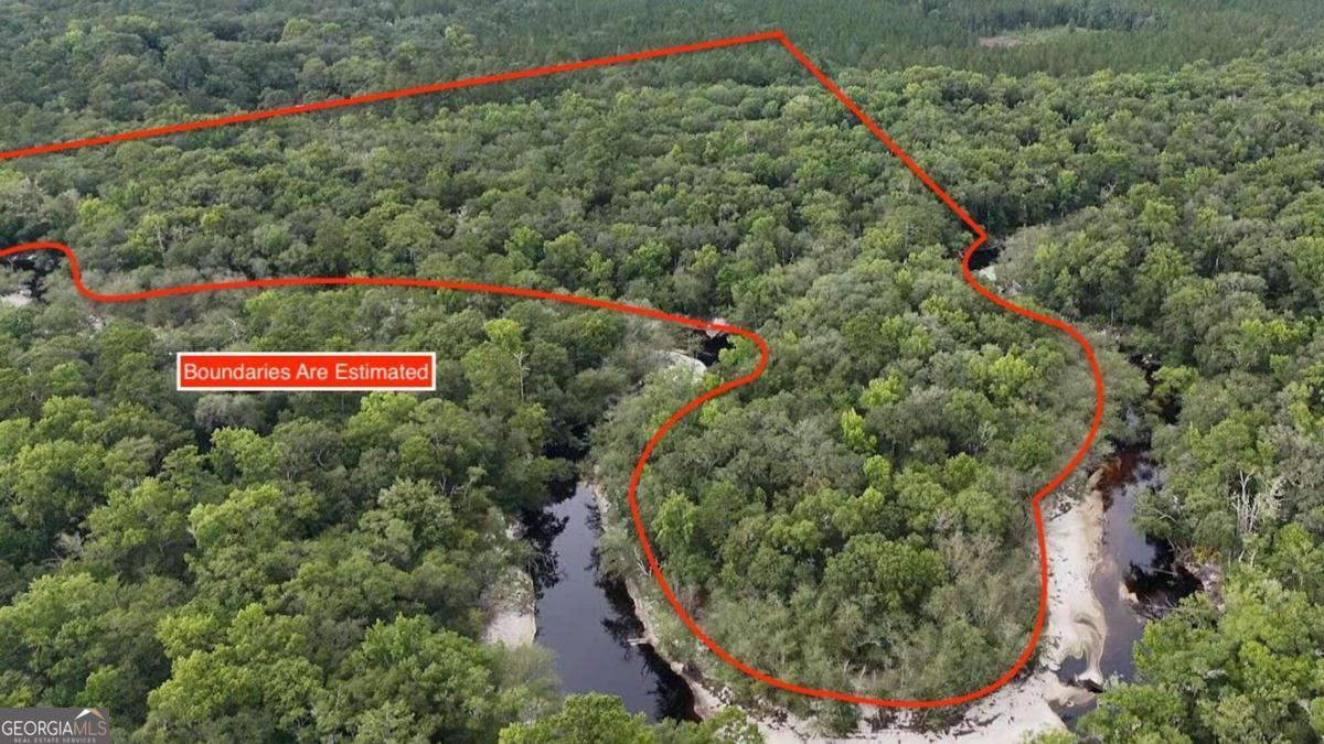 Lot 8 Emmaus Church Road St. George, GA 31562 - Photo 6 of 12