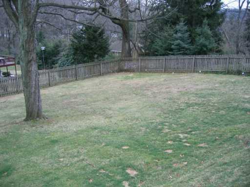 307 East Waldheim Road Fox Chapel, PA 15215 - Photo 8 of 8 Yard/Garden.
