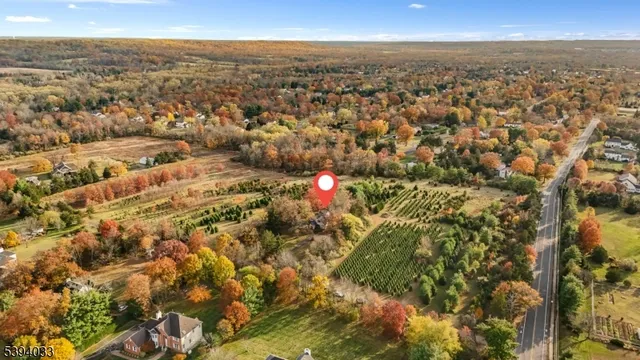 a front view of residential houses with yard and trees