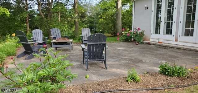 a view of a backyard with plants