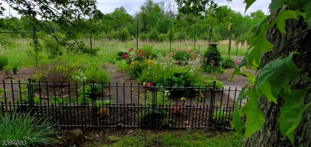 a view of a flower in a garden of a house