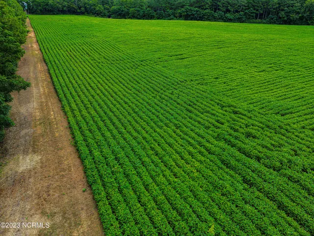 $7,122,250 | 0 South Nc 581 Highway, Bailey, NC 27807