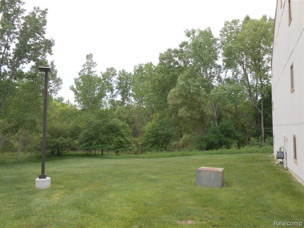 1693 Riverside Drive, Unit 73 Rochester, MI 48309 - Photo 11 of 12 Wooded view.jpg