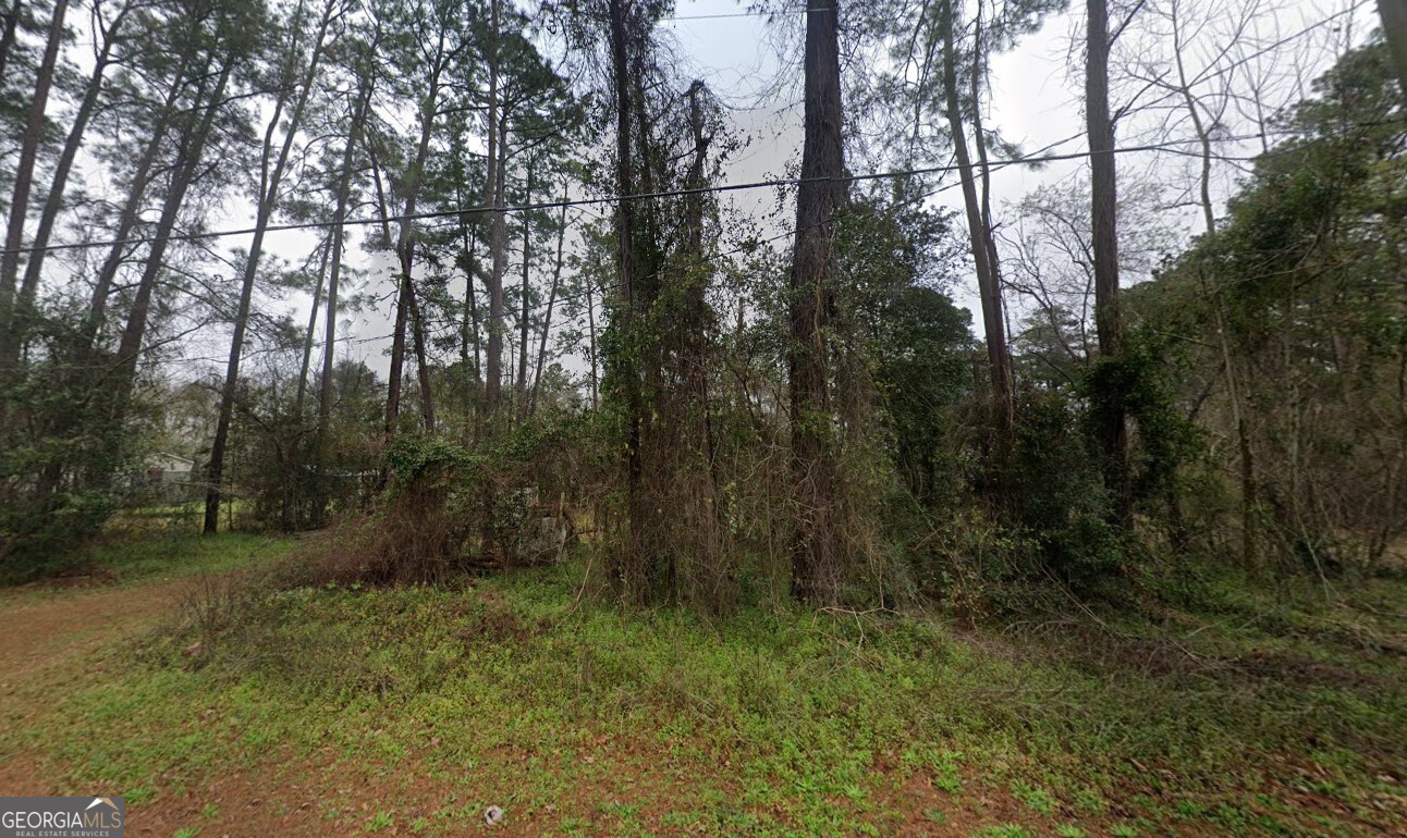 400 Bill Futch Road Ellabell, GA 31308 - Photo 2 of 6