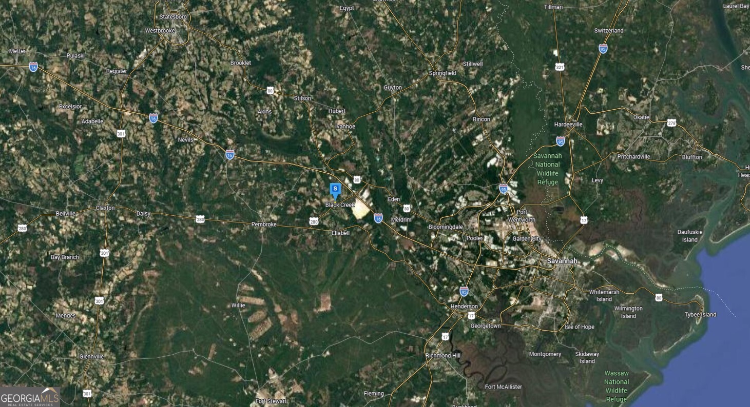 400 Bill Futch Road Ellabell, GA 31308 - Photo 6 of 6