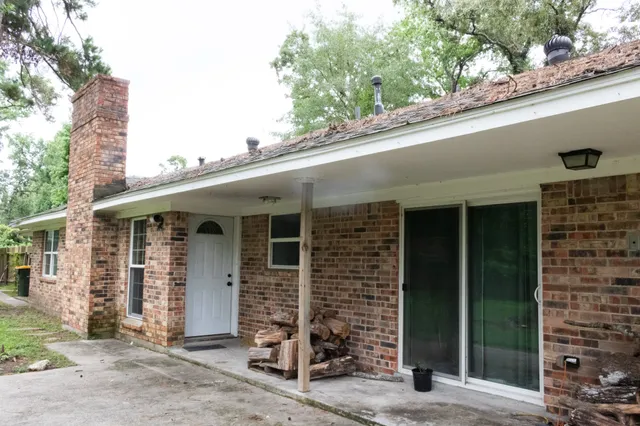 a view of a park with a tree