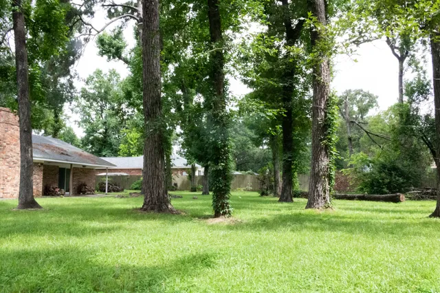a view of a house with a yard and tree s