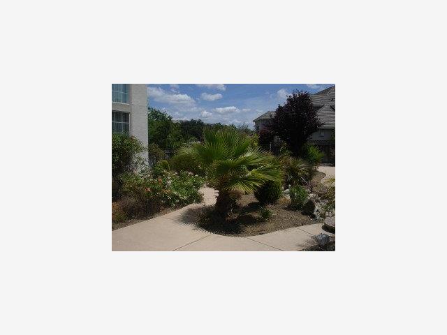 2210 Wynfair Ridge Way San Jose, CA 95138 - Photo 8 of 9 a picture of a bench in a backyard