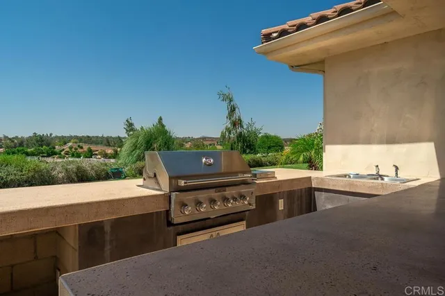 a living room with fireplace furniture and a potted plant