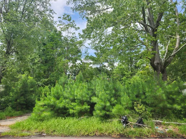 $120,000 | 102 Hope Drive, Summerville, SC 29485