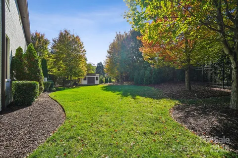 a view of a backyard with large trees