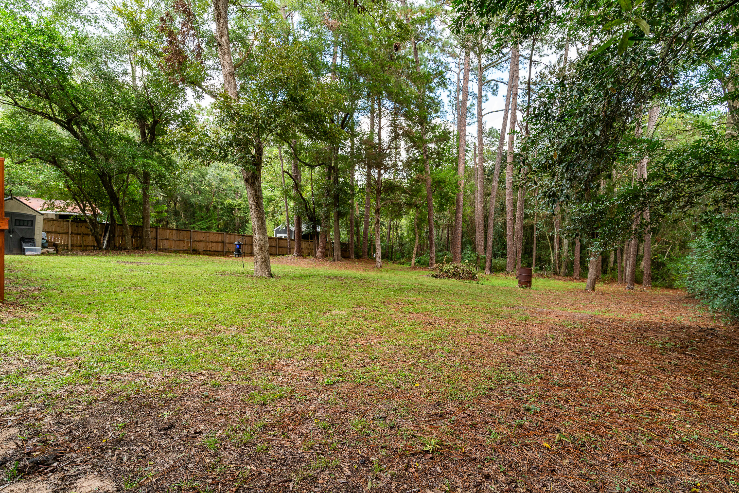 406 Cooper Street Crestview, FL 32539 - Photo 29 of 32 a view of a tree in a park