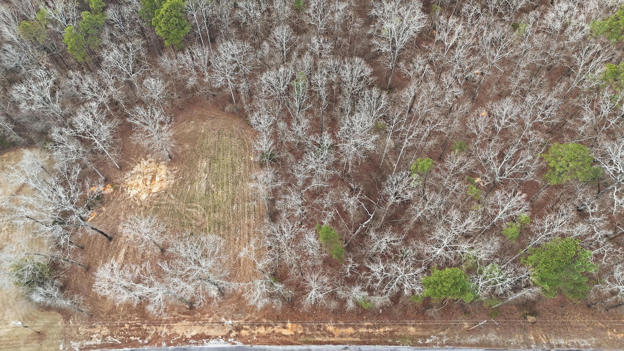 Harbor Loop Jasper, AL 35504 - Photo 17 of 17 Harbor_011_(2400)