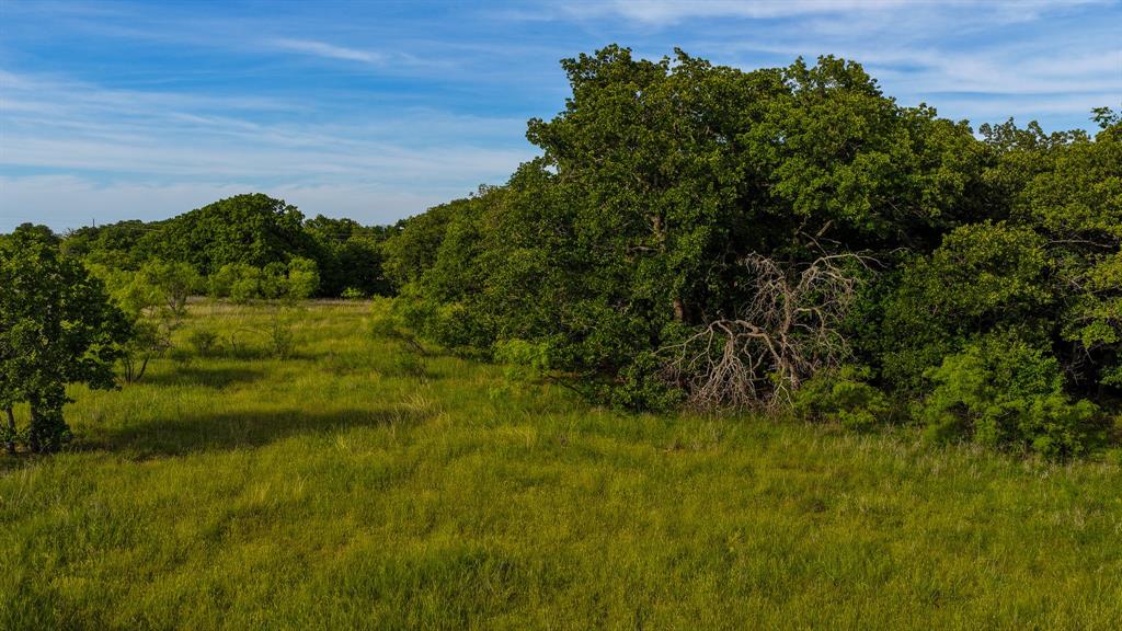 3641 Carpenter Road Nocona, TX 76255 - Photo 28 of 38