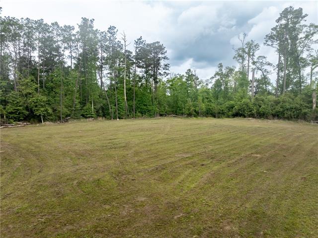 8020 Highway 171 Deridder, LA 70634 - Photo 5 of 11