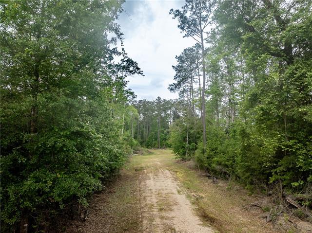 8020 Highway 171 Deridder, LA 70634 - Photo 7 of 11