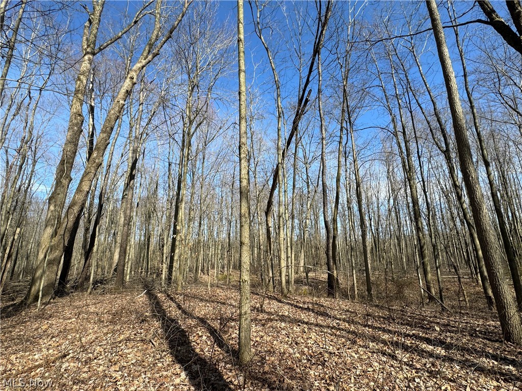 1 Leroy Center Road Thompson, OH 44086 - Photo 17 of 28