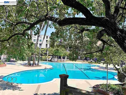 a view of a swimming pool with a patio