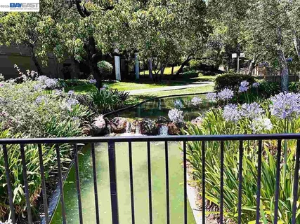a view of a garden and flowers